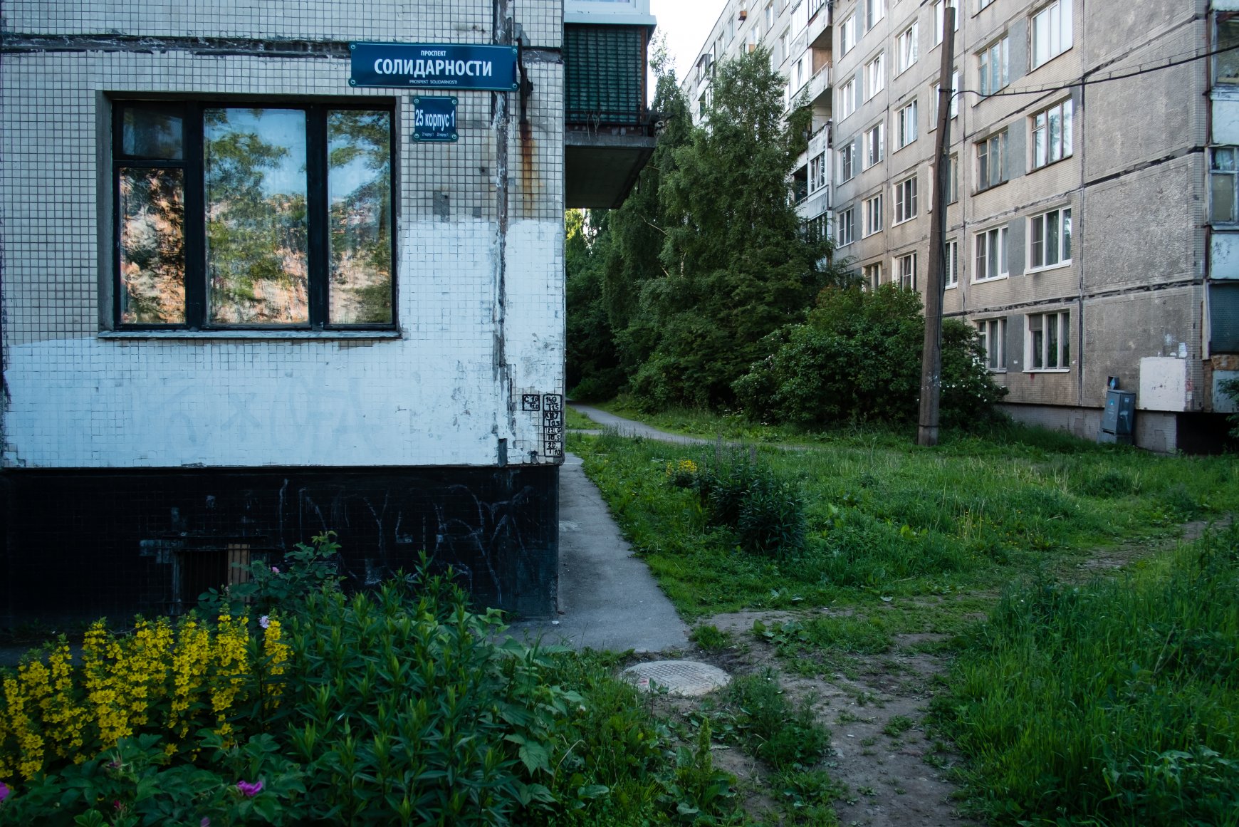 Hinterland of Sankt Petersburg