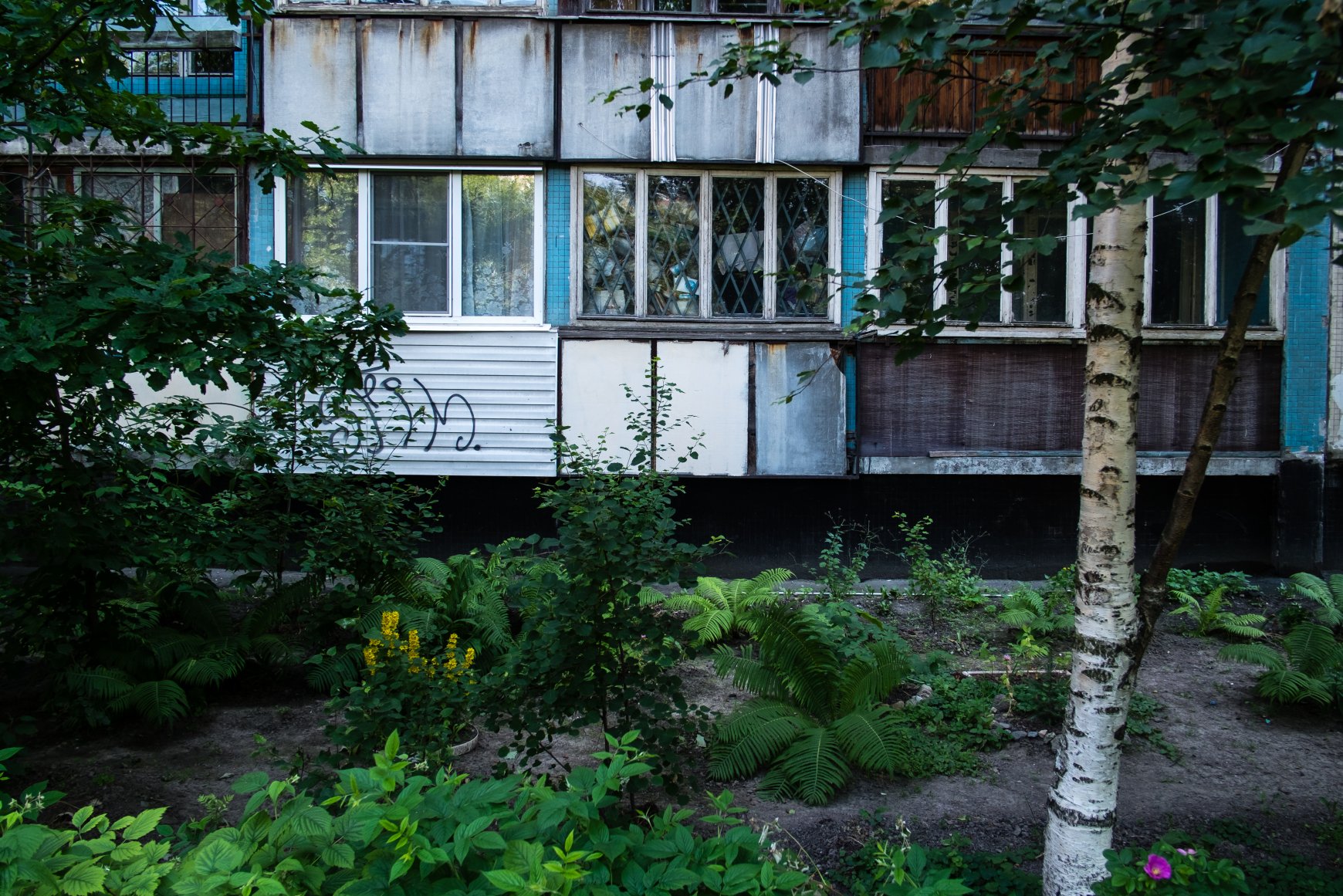 Hinterland of Sankt Petersburg